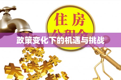 舒兰政策变化下的机遇与挑战