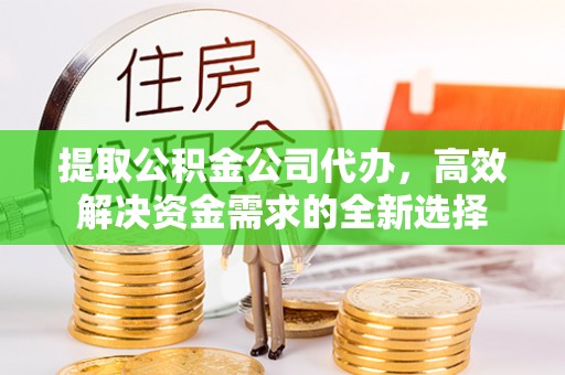 舒兰提取公积金公司代办，高效解决资金需求的全新选择