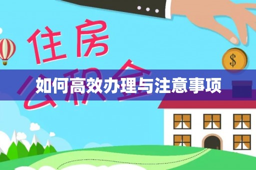 舒兰如何高效办理与注意事项