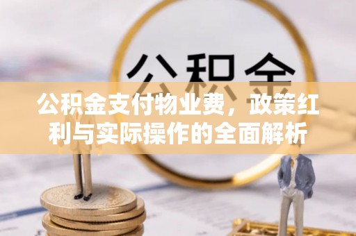 舒兰公积金支付物业费，政策红利与实际操作的全面解析