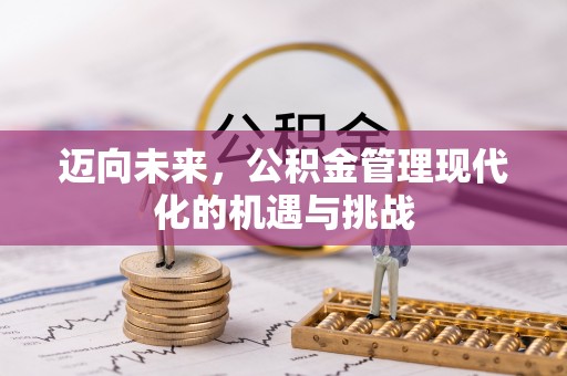 舒兰迈向未来，公积金管理现代化的机遇与挑战