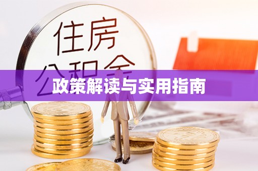 舒兰政策解读与实用指南