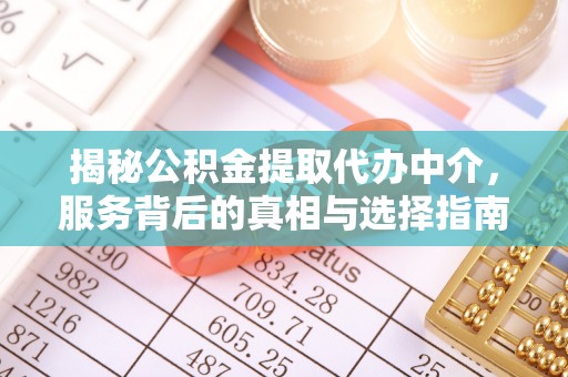 舒兰揭秘公积金提取代办中介，服务背后的真相与选择指南