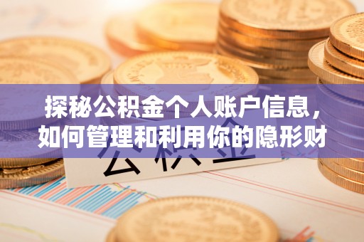 舒兰探秘公积金个人账户信息，如何管理和利用你的隐形财富