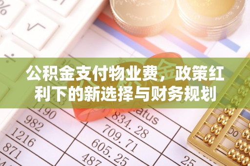 舒兰公积金支付物业费，政策红利下的新选择与财务规划