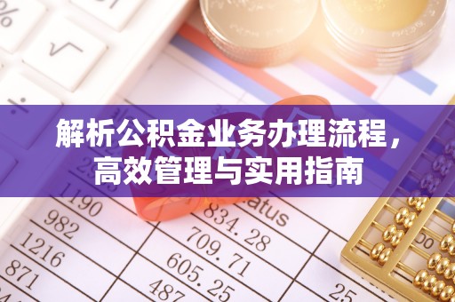 舒兰解析公积金业务办理流程，高效管理与实用指南