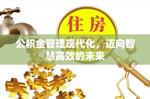 舒兰公积金管理现代化，迈向智慧高效的未来
