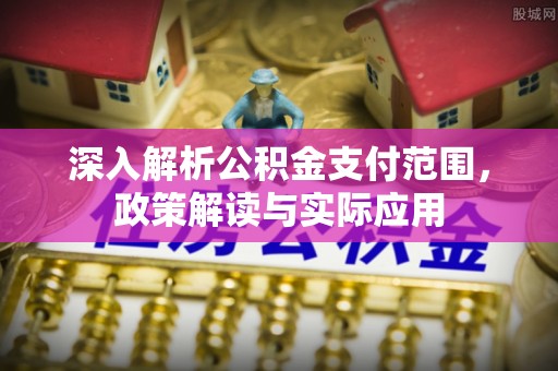 舒兰深入解析公积金支付范围，政策解读与实际应用