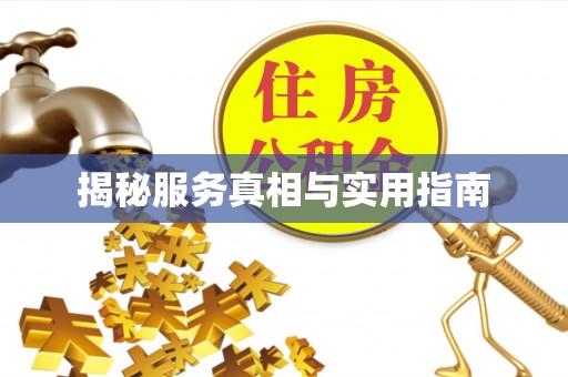 舒兰揭秘服务真相与实用指南