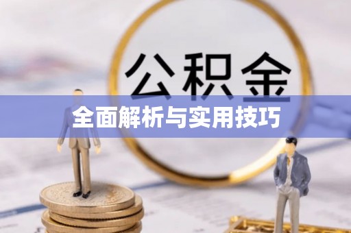 舒兰全面解析与实用技巧