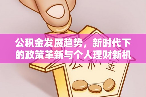 舒兰公积金发展趋势，新时代下的政策革新与个人理财新机遇