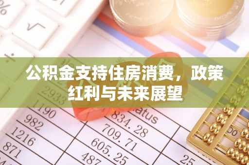 舒兰公积金支持住房消费，政策红利与未来展望