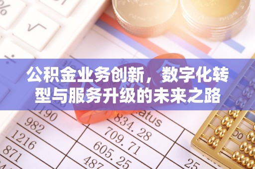 舒兰公积金业务创新，数字化转型与服务升级的未来之路