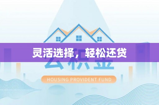 舒兰灵活选择，轻松还贷