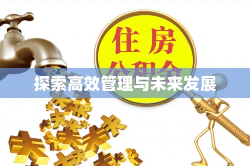 舒兰探索高效管理与未来发展