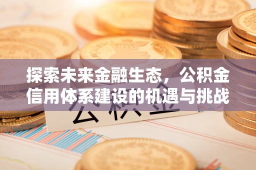 舒兰探索未来金融生态，公积金信用体系建设的机遇与挑战