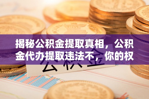 舒兰揭秘公积金提取真相，公积金代办提取违法不，你的权益如何保障？
