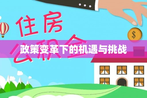 舒兰政策变革下的机遇与挑战