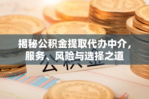 舒兰揭秘公积金提取代办中介，服务、风险与选择之道