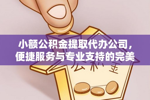 舒兰小额公积金提取代办公司，便捷服务与专业支持的完美结合