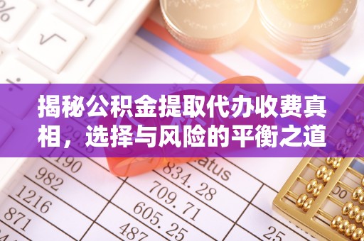 舒兰揭秘公积金提取代办收费真相，选择与风险的平衡之道