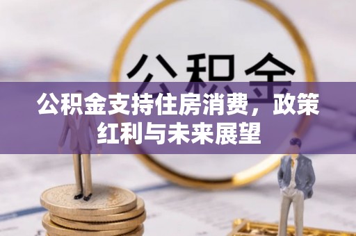 舒兰公积金支持住房消费，政策红利与未来展望