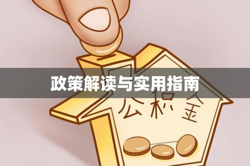 舒兰政策解读与实用指南