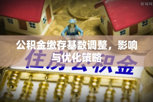 舒兰公积金缴存基数调整，影响与优化策略
