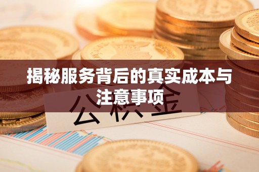舒兰揭秘服务背后的真实成本与注意事项