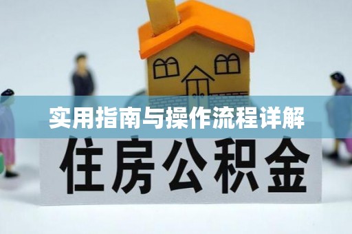 舒兰实用指南与操作流程详解