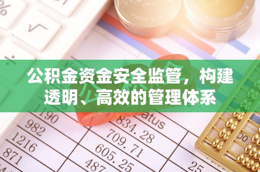 舒兰公积金资金安全监管，构建透明、高效的管理体系