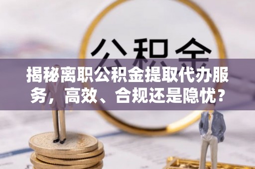 舒兰揭秘离职公积金提取代办服务，高效、合规还是隐忧？