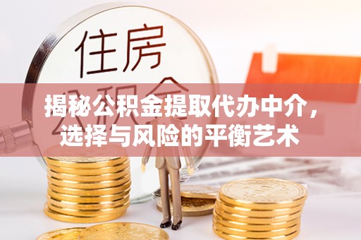 舒兰揭秘公积金提取代办中介，选择与风险的平衡艺术