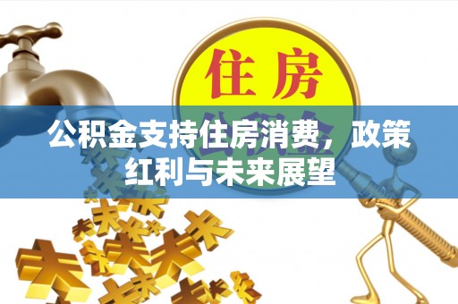 舒兰公积金支持住房消费，政策红利与未来展望