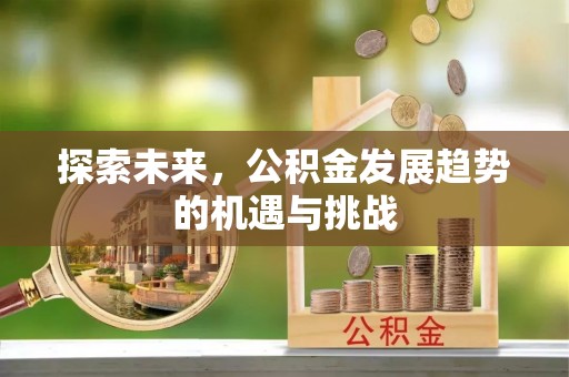 舒兰探索未来，公积金发展趋势的机遇与挑战
