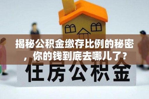 舒兰揭秘公积金缴存比例的秘密，你的钱到底去哪儿了？