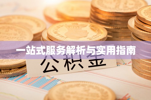舒兰一站式服务解析与实用指南