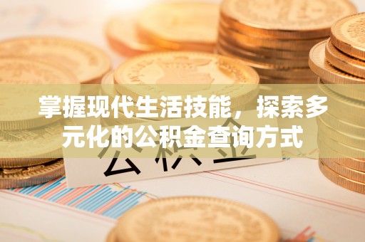 舒兰掌握现代生活技能，探索多元化的公积金查询方式