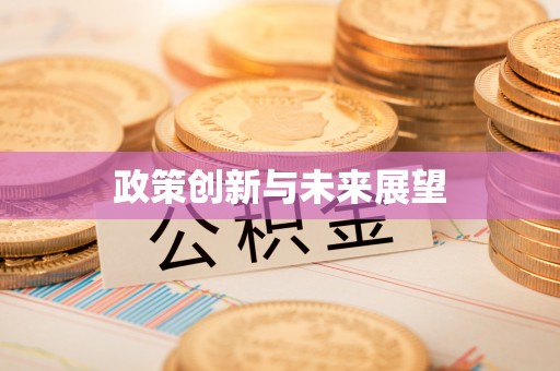 舒兰政策创新与未来展望
