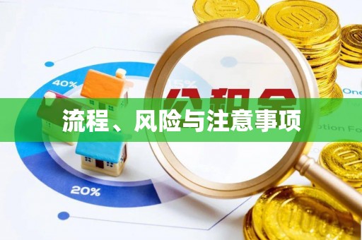 舒兰流程、风险与注意事项